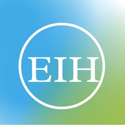 EarningIdeasHin's profile picture. We help to find you New Earning Ideas.