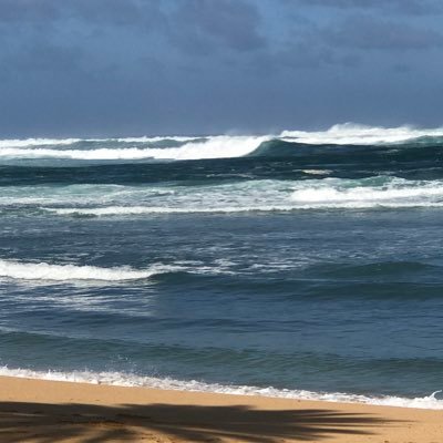 kirklandFSU76's profile picture. Retired Army.