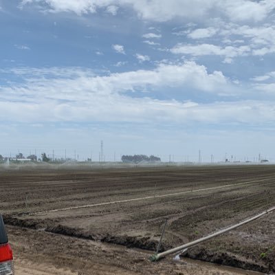 Felixba25840027's profile picture. 