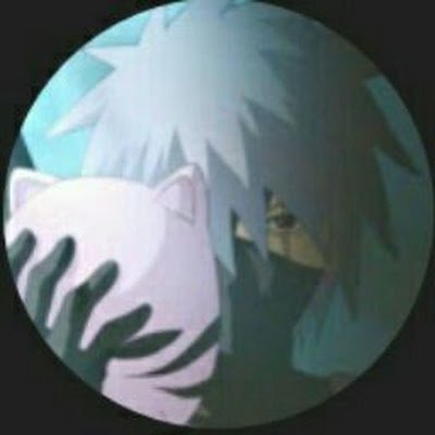 Lowpex Profile