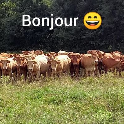 créateur de valeur ajoutée en supplychain agro-alimentaire.
botaniste averti. anti-jacobin.