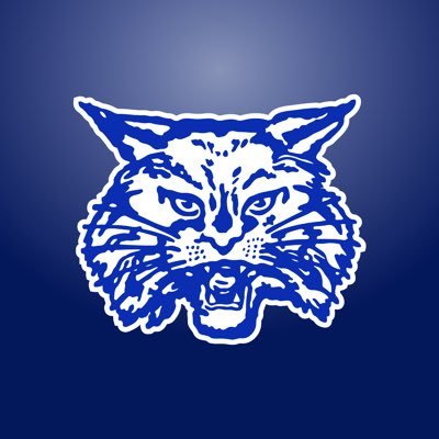 Childress Bobcat Football Profile