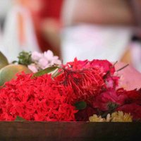 Pradeep_S (@pradeep_92w) 's Twitter Profile