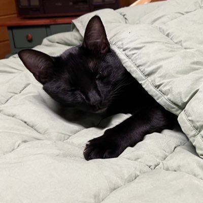 SmamfyPamfy's profile picture. 