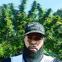G Shell (@gshell16) 's Twitter Profile