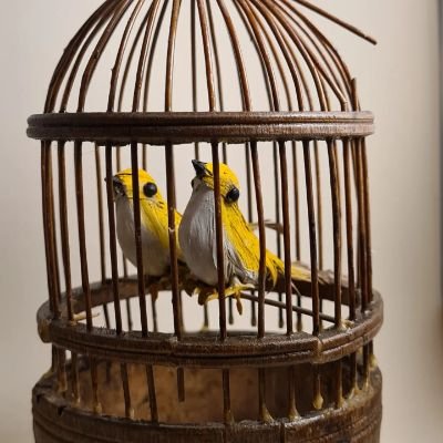 wifflebee's profile picture. wife, mother, and very contrary! low politeness and agreeableness