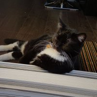 Jeff (@jeffycakes66) 's Twitter Profile