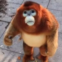 Caleb (@wowreallycaleb) 's Twitter Profile Photo Caleb (@wowreallycaleb) 's Twitter Profile Photo
