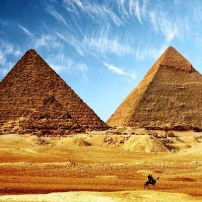 PaulBac60187545's profile picture. Aviator