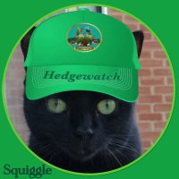 Squiggle(@SquidKibbyBits) 's Twitter Profile Photo