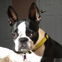 Lori Marano - @lorimarano - Twitter