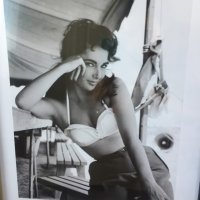 MsMorettisView (@msmorettisview) 's Twitter Profile Photo MsMorettisView (@msmorettisview) 's Twitter Profile Photo
