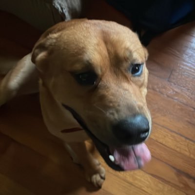 LisaBaylor12's profile picture. Country girl