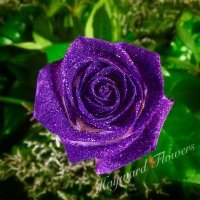 Joyce Ellis (@joyell777) 's Twitter Profile