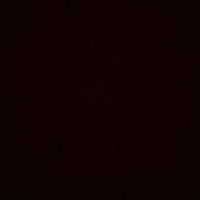 Austin Stevens (@auststev) 's Twitter Profile