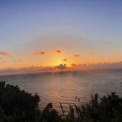 PindasS87's profile picture. I'm fighting ninjas now ... sorry 🥷☕️🗿