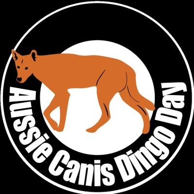 Extremely passionate about Dingo conservation Dingo researcher, behaviourist and guardian. Follow us on Facebook at Aussie CANIS DINGO DAY https://ww