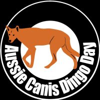 Aussie Canis dingo(@jennyleeparker3) 's Twitter Profile Photo