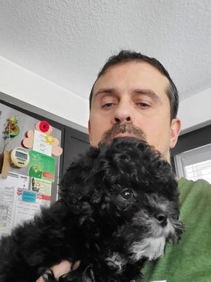 GinoSpina16's profile picture. Jedi guitar shredder. Funny dad, devoted husband and puppy owner.