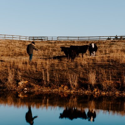 JonathanHensen's profile picture. 