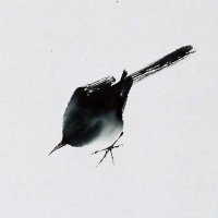 colibrí (@ypsilonomega) 's Twitter Profile Photo colibrí (@ypsilonomega) 's Twitter Profile Photo