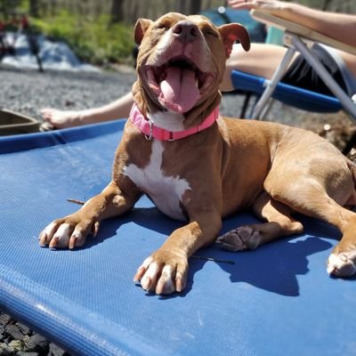 Dr_Shulzzz's profile picture. 