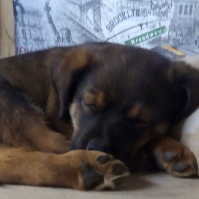 mlsa031015's profile picture. não venho aqui muito