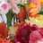 Suzanne68615622's profile image