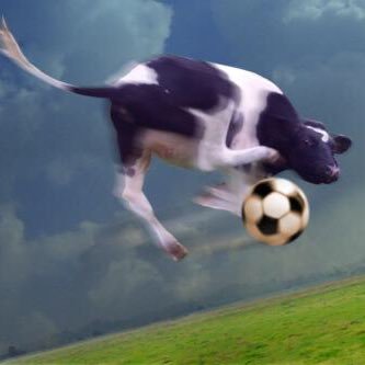 Devin Nunes’ Soccer Cow