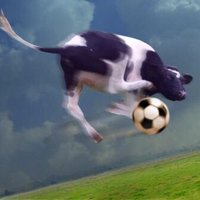 Devin Nunes’ Soccer Cow (@lunabird444) 's Twitter Profile Photo Devin Nunes’ Soccer Cow (@lunabird444) 's Twitter Profile Photo