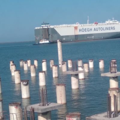 fotrebla21's profile picture. ambientalista,petrista de corazón