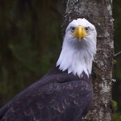 speckonspeck's profile picture. 