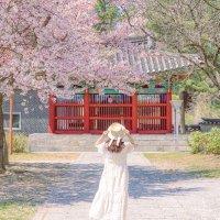 あんこ🤎韓国在住 (@anko__chil) 's Twitter Profile