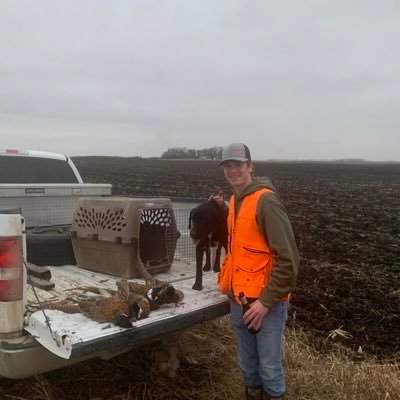 tylerhannaman1's profile picture. I like it, I like it a lot