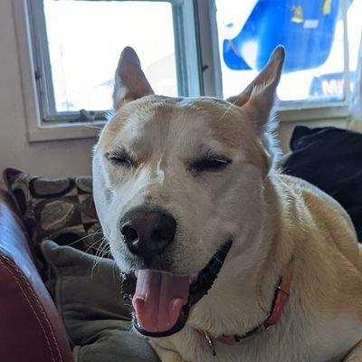 719hippiedad's profile picture. 