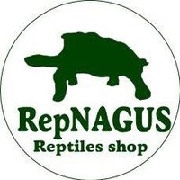 RepNAGUS レプナグス (@repnagus) 's Twitter Profile Photo RepNAGUS レプナグス (@repnagus) 's Twitter Profile Photo