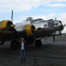 B17chick12's profile picture. Mom, libertarian, aviator