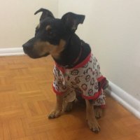 Simply Clueless (@clu3lessnft) 's Twitter Profile