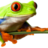 SmallFrogIT