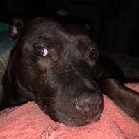 Bailee’sMomma (@ot7lifer326) 's Twitter Profile