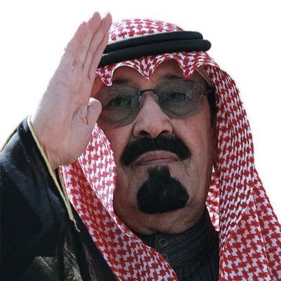 محمد آل ناصر القريني