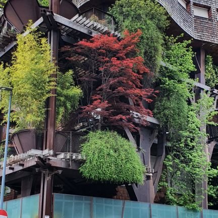 fancyuselessboi's profile picture. 