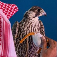 ًً (@2itrx) Twitter profile photo