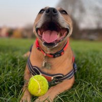 Mansoor Mir (@drmansoormir) 's Twitter Profile Photo