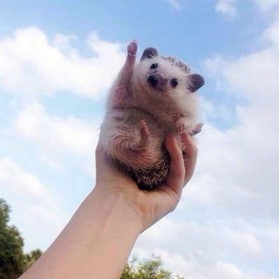 jayeonature's profile picture. 사랑과 금전의 힘으로