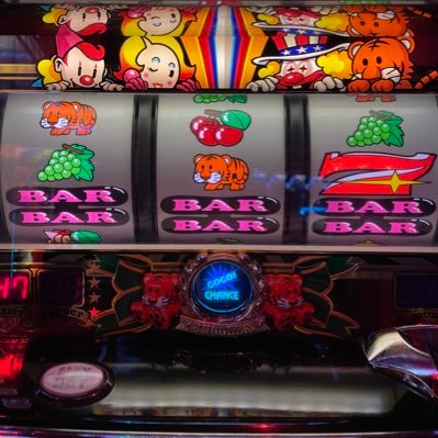 fmsc416's profile picture. 