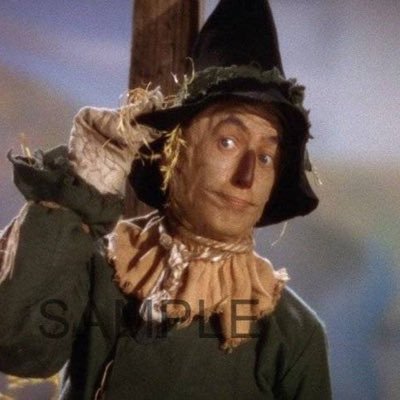 Jay39441356's profile picture. 