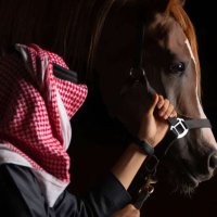 عاشق الثقافة (@uimnmlysiv8hqol) 's Twitter Profile