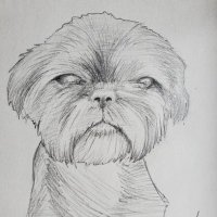 Amanda (@amps76) 's Twitter Profile