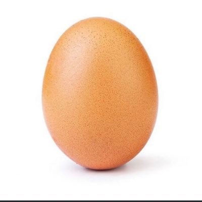 Egg